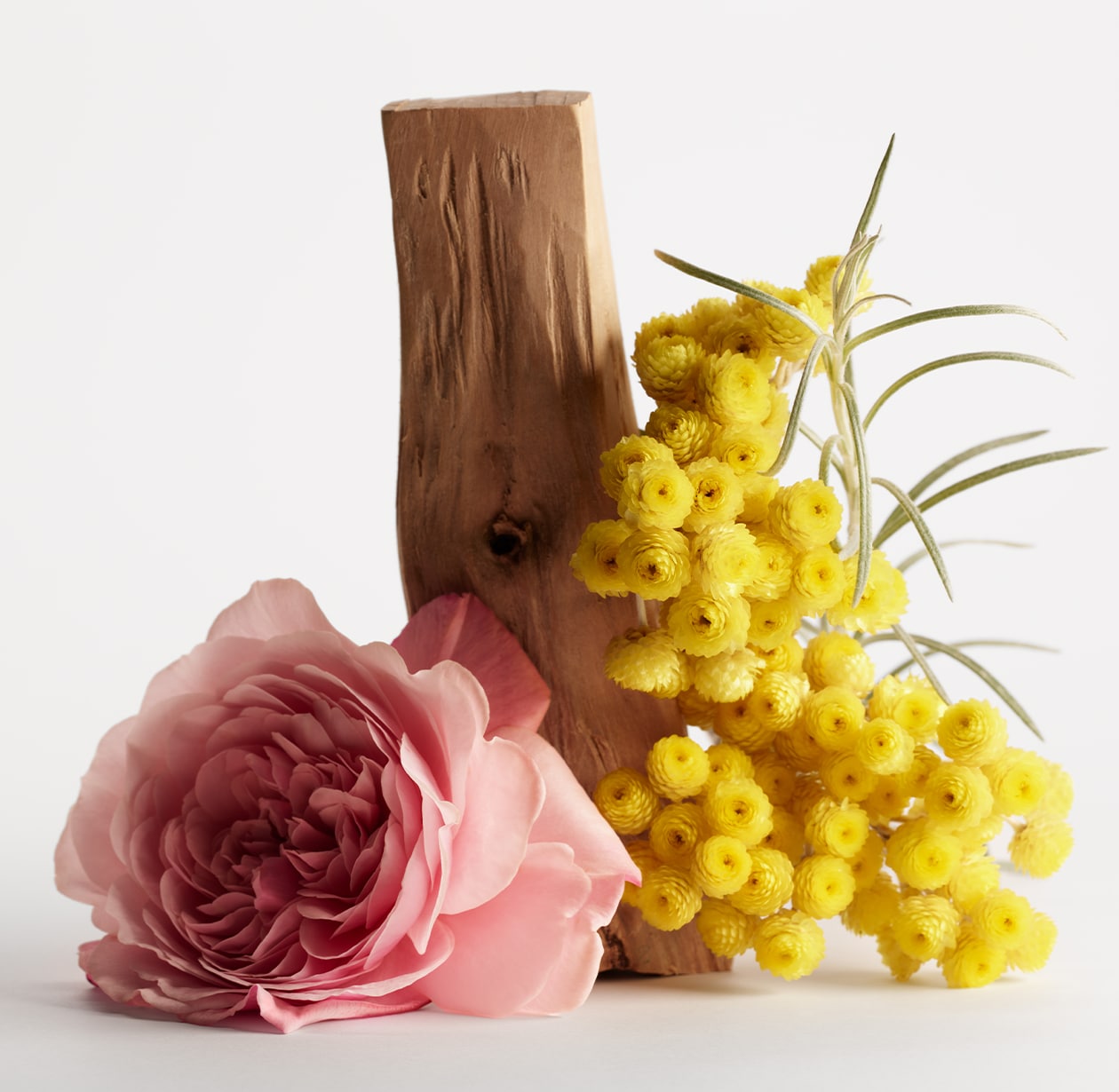 CONTRE-JOUR by Annick Ménardo, CONTRE-JOUR, 100 ml